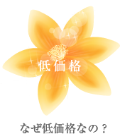 なぜ低価格なの? イメージ